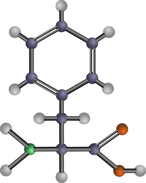 Phenylalanine (amino acid) - Openclipart