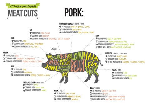 Butcher Cuts Of Pork