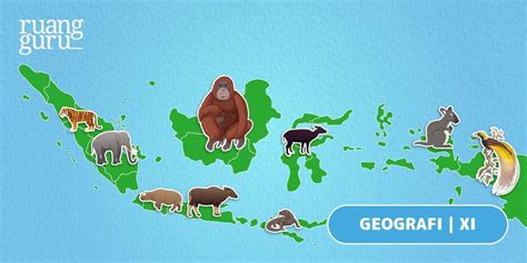 Faktor dan Zona Persebaran Flora & Fauna di Indonesia | Geografi Kelas 11