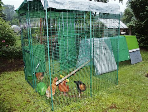 Walk in Chicken Run | Large Outdoor Chicken Enclosure