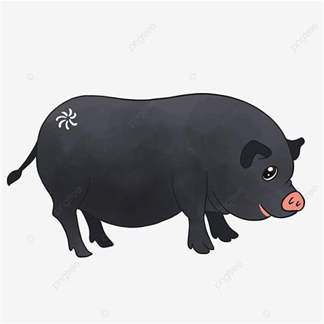 Black Pig Png, Vector, PSD, and Clipart With Transparent Background for Free Download | Pngtree