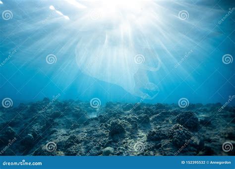 Plastic Bag Pollution in Blue Ocean Stock Photo - Image of nature, life: 152395532