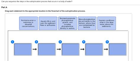 Eutrophication Process