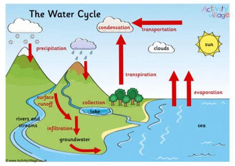 Labeled Easy Water Cycle Diagram Water Cycle Diagram