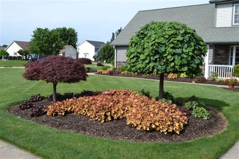 Ornamental Dwarf Trees For Landscaping — Randolph Indoor and Outdoor Design