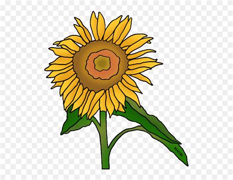 Download Sunflower Clipart Kansas - Clip Art - Png Download (#5274337) - PinClipart