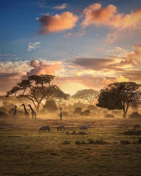 A sunset in Africa #nature #Photography #Makeup #Quotes #Light #Art #Aesthetic #Forest #Beauty # ...