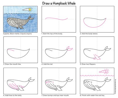 Draw a Humpback Whale | bethanybnichols