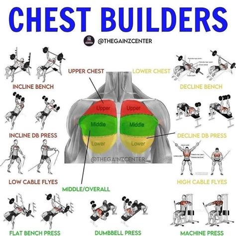 Dumbbell Chest Workout, Chest And Back Workout, Chest Workout For Men, Chest Workout Routine ...