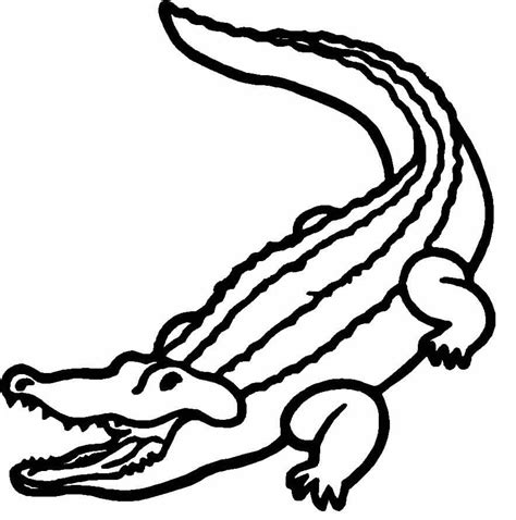 Alligator (Animals) – Free Printable Coloring Pages