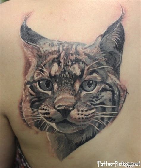 Lynx tattoo: photo num 4906