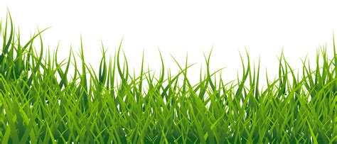 Grass clipart transparent background, Grass transparent background Transparent FREE for download ...