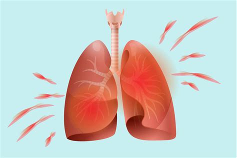 Lungs clipart damaged lung, Lungs damaged lung Transparent FREE for ...