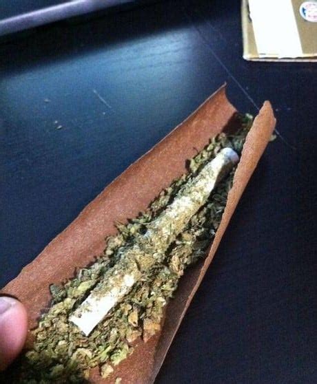 How To Roll A Kief Joint In 3 Easy Steps - Hail Mary Jane