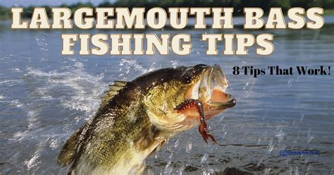 Largemouth Bass Fishing Tips – 8 Tips That Work!