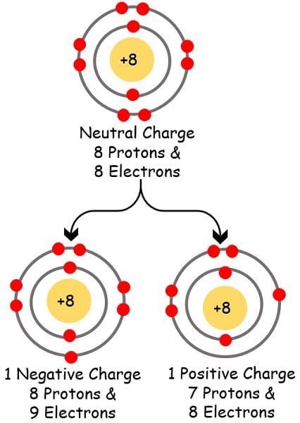 Difference Between Cation and Anion (with Comparison Chart) - Bio ...