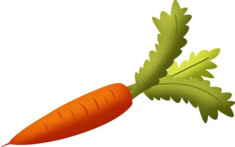 Free Carrot Transparent Background, Download Free Carrot Transparent ...