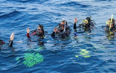 PADI Divemaster and Master Scuba Diver - What's the Difference?