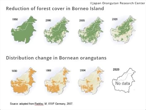 Sumatran Orangutan Map