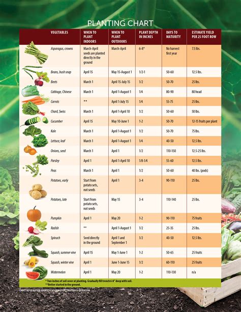 Sow what? Helpful tips on when to start planting seeds in Ohio for the perfect garden - Ohio ...