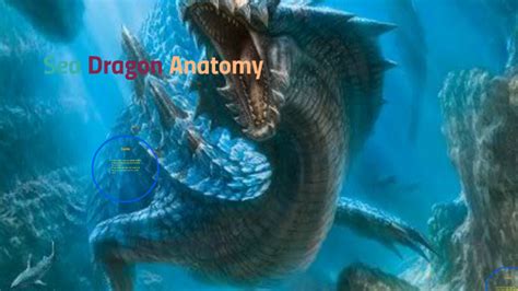 Sea Dragon Anatomy by Chris Santos on Prezi