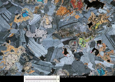 Gabbro thin section