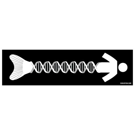 DNA Evolution Bumper Sticker 11" x 3"