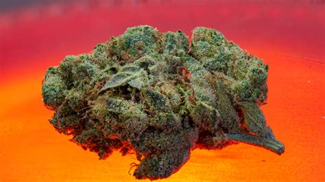 8 Highest THC Strains - Buy weed online in Europe