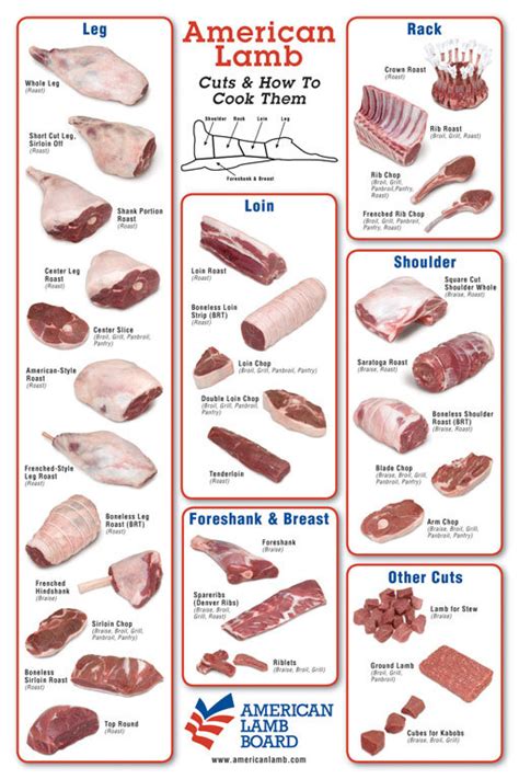 Beef Meat Cuts Chart