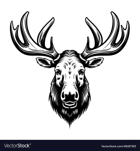 Beautiful moose head silhouette Royalty Free Vector Image