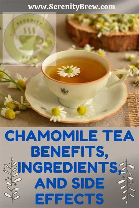 Chamomile Tea Benefits, Ingredients, and Side Effects - Serenity Brew