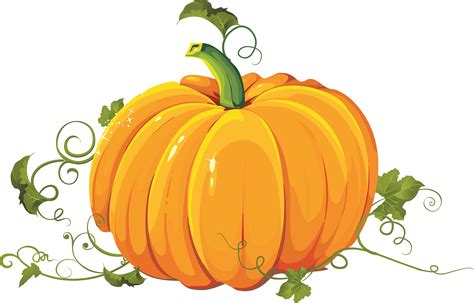 Pumpkin PNG image