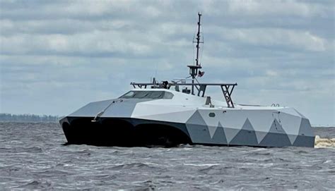 Navy’s stealth vessel intrigues almost as much as pollen | Cape Gazette