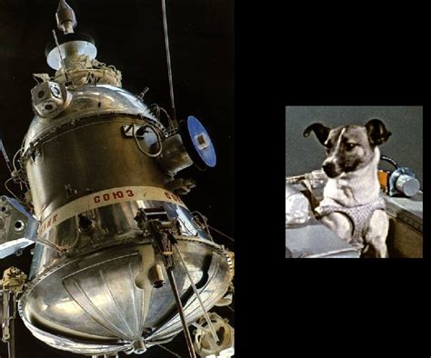 Sputnik 2 | Space Rocket History