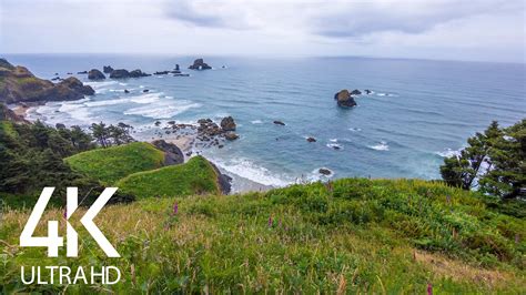 Ocean Waves Soundscape, Coastal Oregon - 4K Soundscapes | ProArtInc