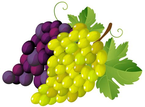 Grapes clipart 2 – Clipartix