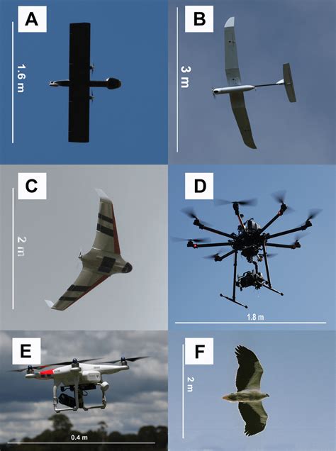 Examples of UAV models with different wing profiles. (A) Avian-P fixed... | Download Scientific ...