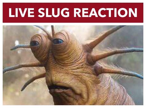 Live slug reaction Latest Memes - Imgflip