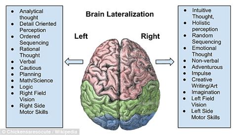 Left handedness makes you more likely to be good at maths | Daily Mail Online