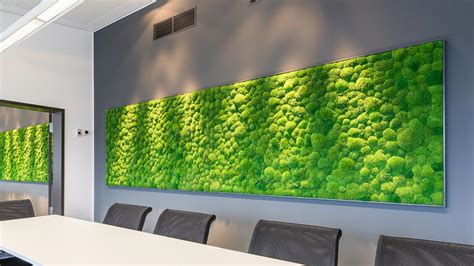 What are acoustic moss wall panels? Some FAQs — Sound Zero