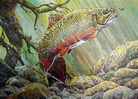 Brook Trout Painting by D Michael Meinders