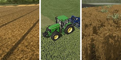 Which Crops Should I Plant First In Farming Simulator 22?