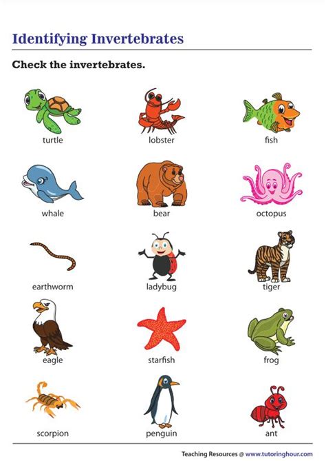 Vertebrates And Invertebrates Live Worksheets