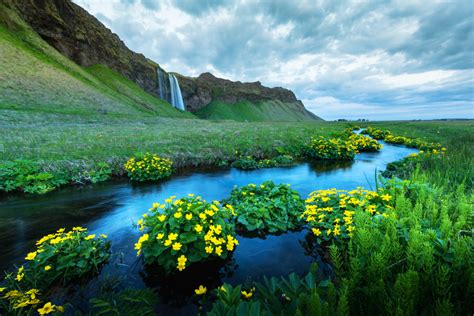 Iceland in Summer - Activities and Adventures for Tourists