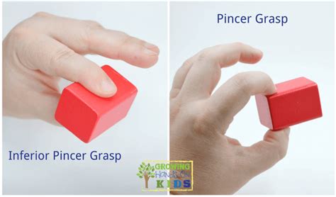 5 Fun Activities for Pincer Grasp Practice