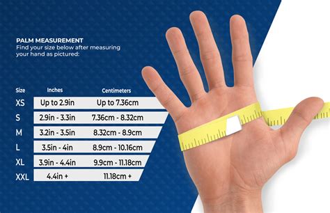 Nitrile Glove Size Chart - Images Gloves and Descriptions Nightuplife.Com