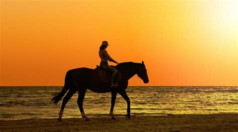 Sunset Beach Horse-Riding Adventure in San Diego in San Diego: Book ...