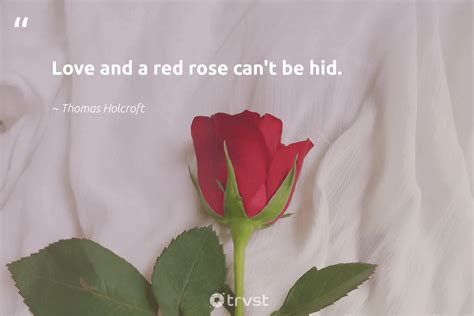 Quotes About Roses And Love - Hester Alejandrina