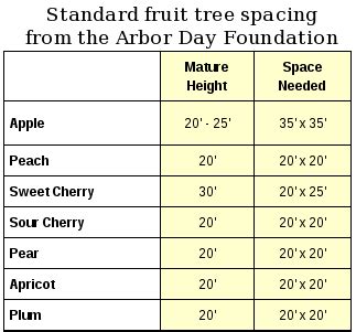 Apple Orchard Tree Spacing