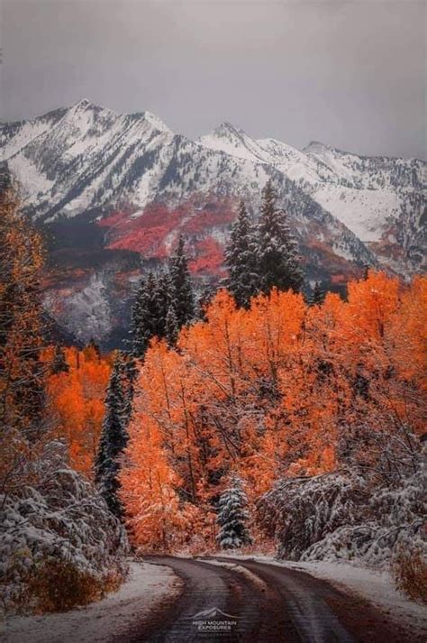 Pin by Christine Lankford on fall scenes | Scenic roads, Beautiful nature scenes, Scenery